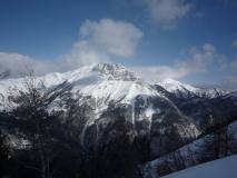 Min_Pecloz-Nimp-001.jpg