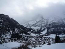 Min_Portetta-Chamois-002.jpg