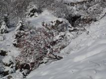Min_Presles-Arva-Areche-010.jpg