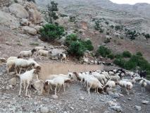 Min_Rando-Bivouac-004.jpg