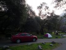 Min_Sequoia-001.jpg