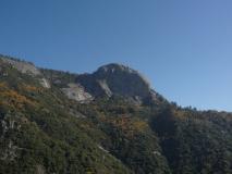 Min_Sequoia-002.jpg