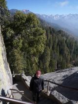 Min_Sequoia-006.jpg