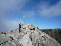 Min_Sequoia-008.jpg