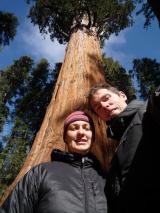Min_Sequoia-012.jpg