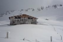 Min_Tete-Bossetan-005.jpg
