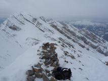 Min_Tete-Pelouse-007.jpg