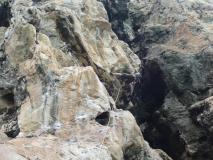 Min_Thaiwand-Wall-011.jpg