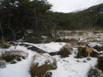 Min_Torres-Paine-J3-005.jpg