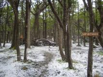 Min_Torres-Paine-J3-006.jpg