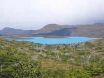 Min_Torres-Paine-J3-016.jpg