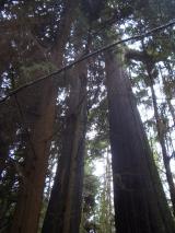 Min_Vancouver-020.jpg