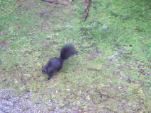 Min_Vancouver-021.jpg