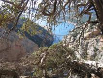 Min_Verdon-004.jpg