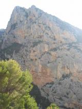 Min_Verdon-005.jpg