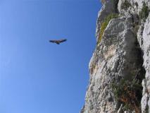Min_Verdon-009.jpg