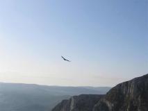 Min_Verdon-010.jpg