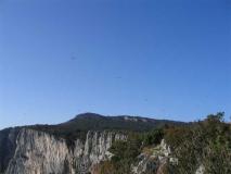 Min_Verdon-013.jpg