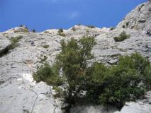 Min_Verdon-014.jpg