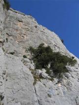 Min_Verdon-022.jpg