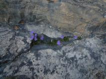Min_Vol-Et-Volupte-006.jpg