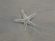 Min_Wee-S-Present-Wall-002.jpg