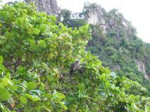 Min_Wee-S-Present-Wall-011.jpg