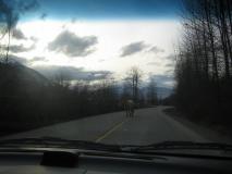 Min_Whistler-Pemberton-014.jpg