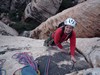 Rose Tower - Olive Oil (5.7 170m)