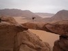 Arche de Burdah - Orange Sunshine (D- 300m)