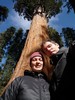 Les Géants de Sequoi Park !