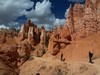 Tourisme à Zion, Bryce Canyon et Grand Canyon