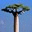 madagascar